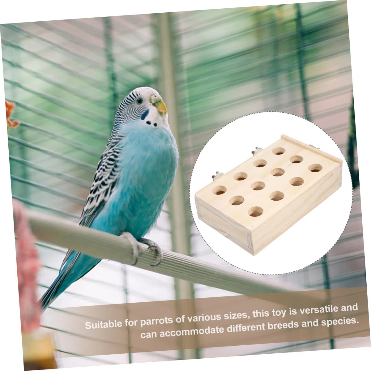 Yardwe 5stücke Kauspielzeug Für Intellektuelle Entwicklung Fördert Und Beschäftigung Für Käfigdekoration Und Spielmöglichkeiten Für Vogelarten