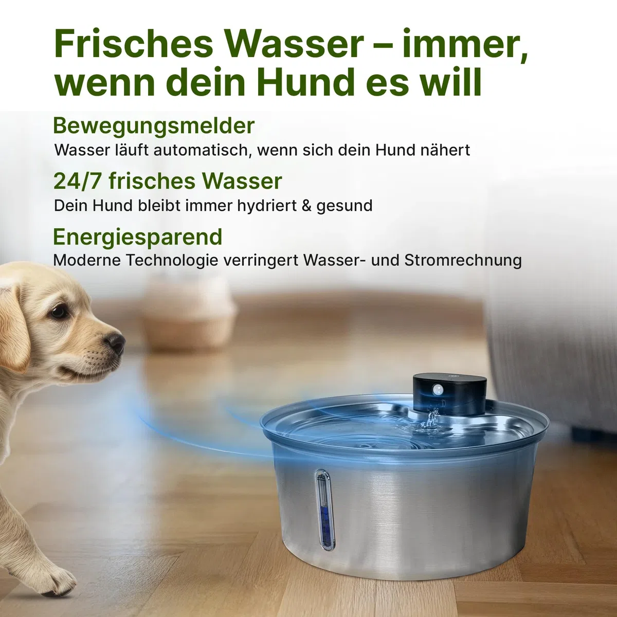 NordFlow 2.0 Hundebrunnen 3,2L Kabellos Katzenbrunnen mit 5000mAh Batterie, Sensor, LED und Filter - Trinkbrunnen für Katze