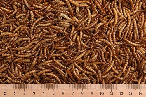 (Grundpreis 8,65 Euro/kg) - 10 kg Mehlwürmer getrocknet, Reptilienfutter, Nager