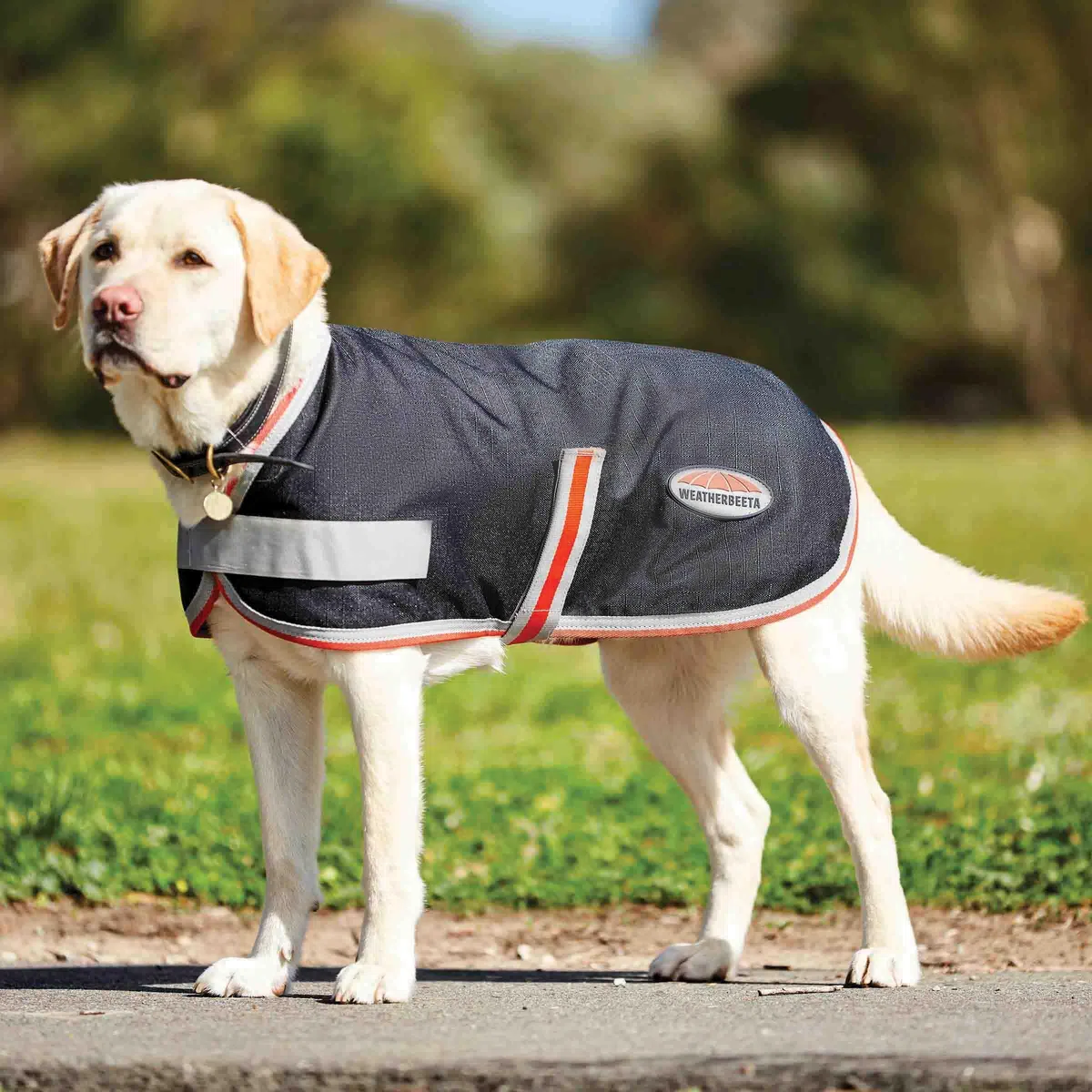 WeatherBeeta Hundemantel ComFiTec 1200D Therapy-Tec - 30 cm - Weiß-Silber