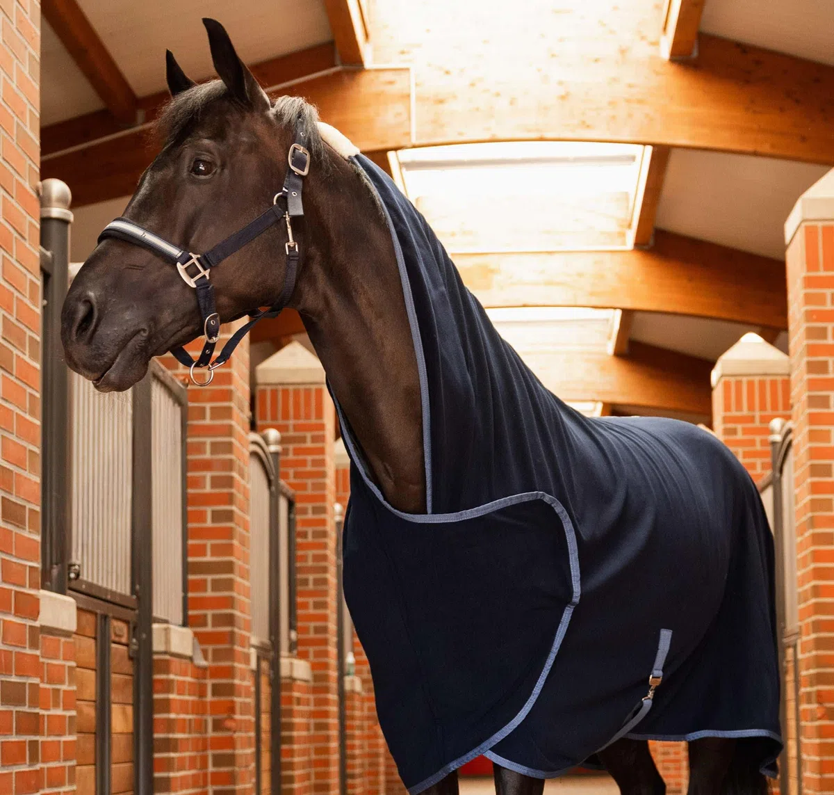 Horze Pferde Fleece-Abschwitzdecke Eternal Gaze, Blau, 145