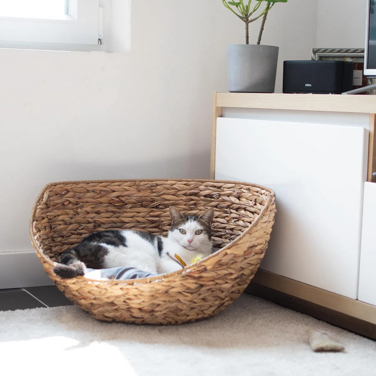 UNUS Animals Hundebett Hundekörbchen rund mit Kissen, Haustierkorb für Hunde und Katzen halboffen