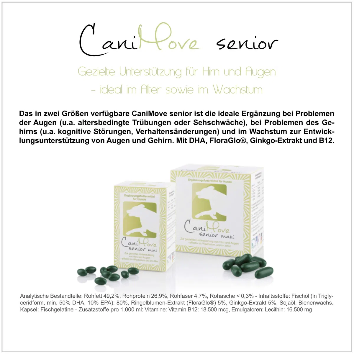 Spar-Bundle - 1 Dose (100 Tabletten) CaniMove Motion mini und 2 Packungen (200 Kapseln) CaniMove Senior mini - Ideal für kleine Hunde-Senioren.