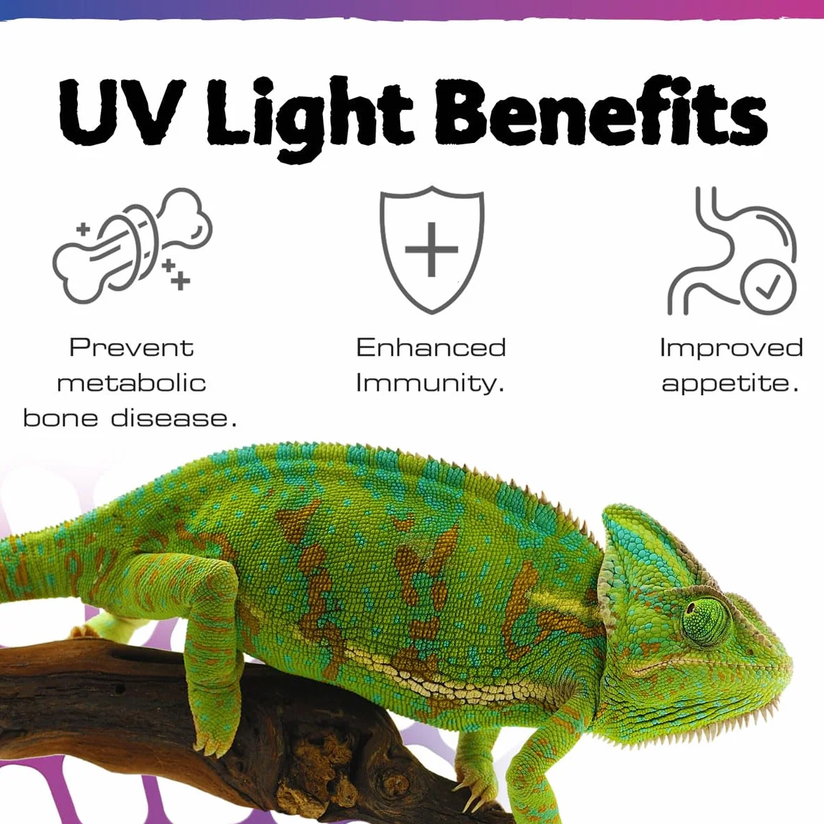 Exo Terra TerraSky UV-LED Terrarienbeleuchtung 10W, UVA & UVB LED-Leuchte, IP54, Timer
