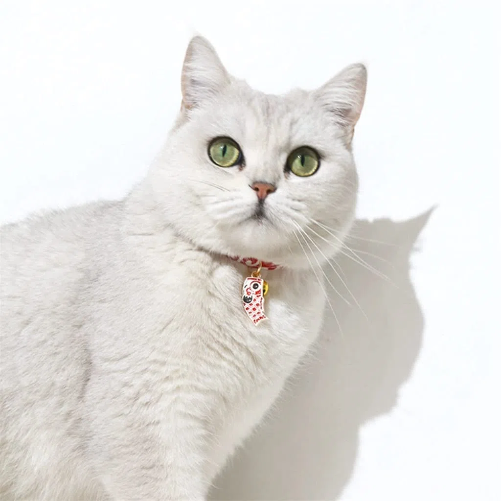 Niedliches Halsband für Katzen, Haustiere, mit Glocke, Katzenhalsband, verstellbar, für Sicherheitskätzchen, für Katzen, Welpen, Hunde (Farbe 3)