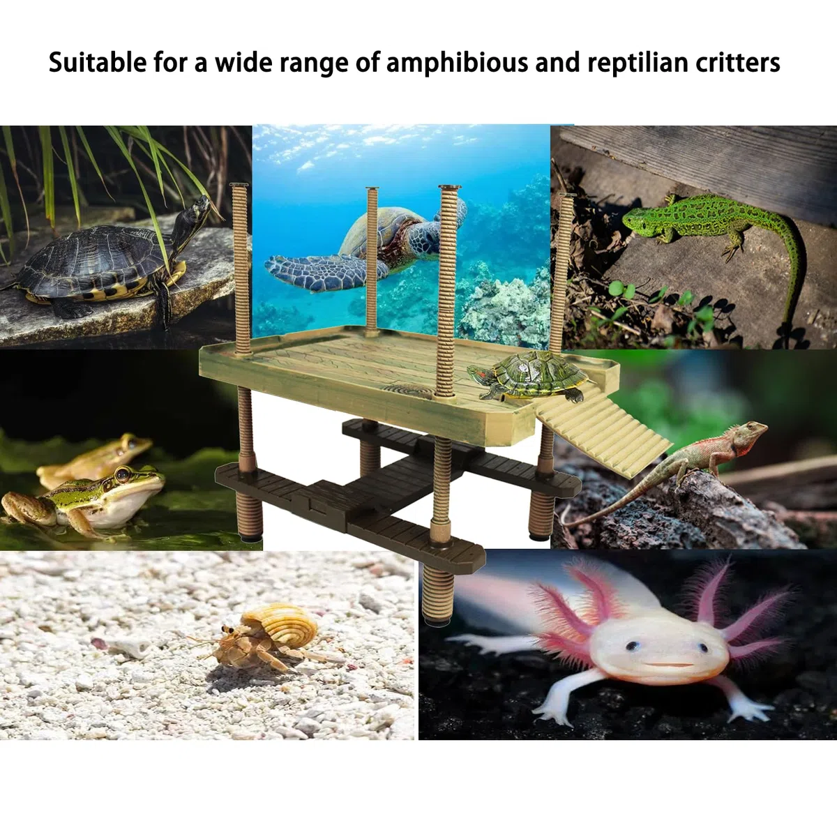 Schildkröte Schwimmende Sonnenplattform, schwimmende Sonnenplattform, Schildkröten-Baskingplattform mit Leiter,Schildkrötenlebensraum, Schildkröten-Tank-Zubehör (Groß)