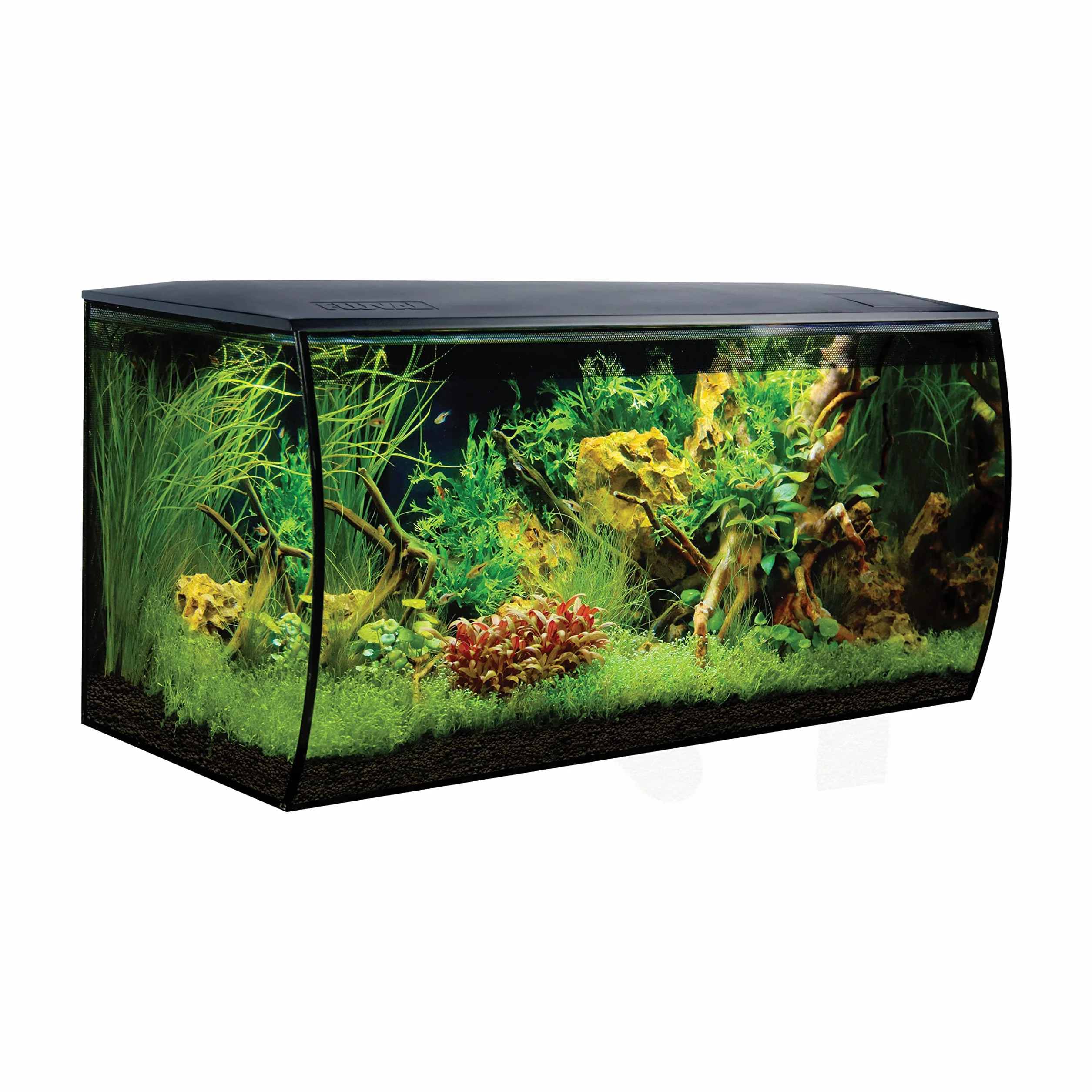 Fluval Flex Aquarium 123L, Süßwasser Aquarium, schwarz