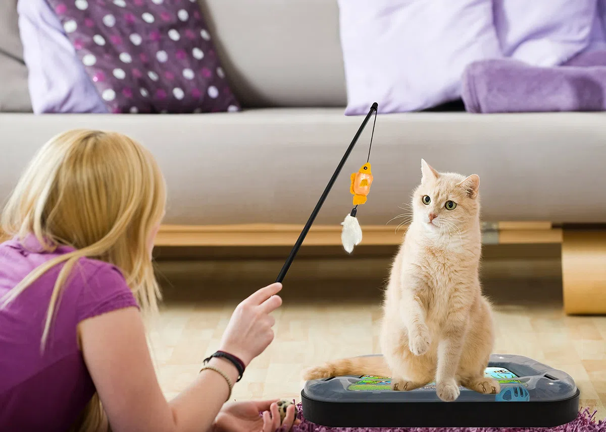 Katzenkratzspielzeug mit Kratzbrett und Fisch Aquarium Design, Spaß und Aufregendes Katzenminze Katzenspielzeug, Schlenkerfisch Spielzeug mit Federn und Katzenminze Enthalten