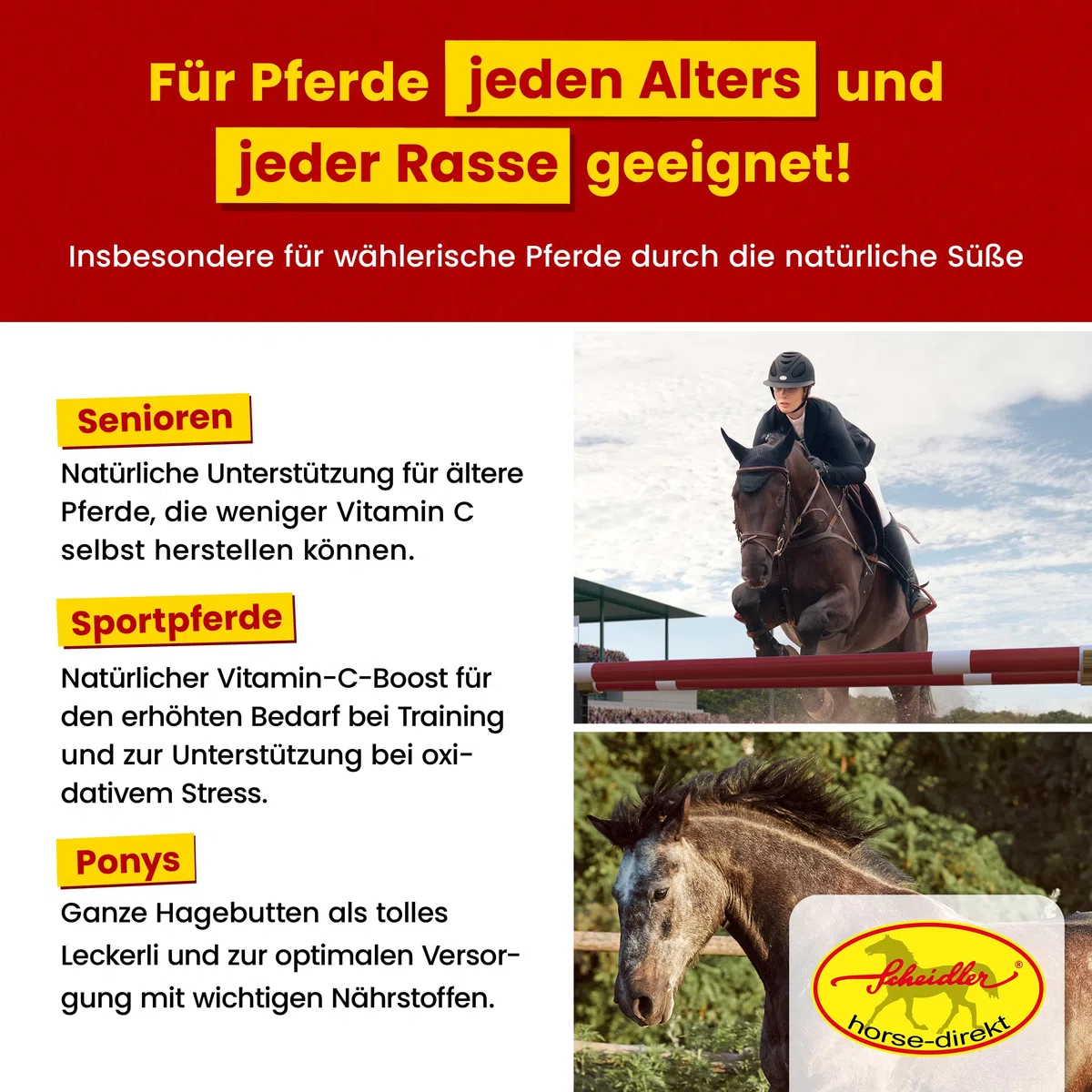 Scheidler horse-direkt Hagebutten getrocknet für Pferde 2kg – Ganze Hagebutte in Spitzenqualität – 100% Natürlicher Vitamin C Booster – Ideales Pferdeleckerli/Zusatzfutter ohne Zuckerzusatz