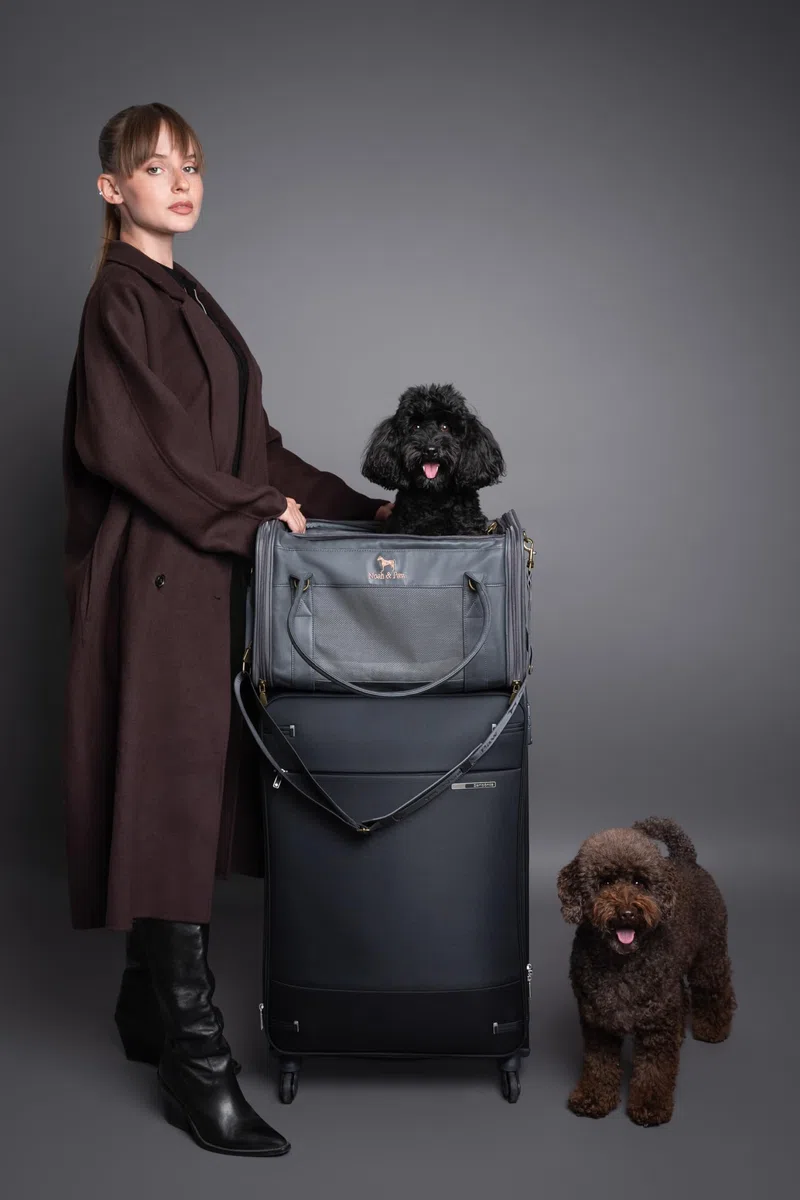 Noah & Paw Katzentragetasche Hundetragetasche für Kleine Hunde, TSA-Zertifiziert Airline-Zugelassen 46x28x28cm Reisebox Haustiere, Kleines Haustierkäfig, Matratze Inklusive, Anthrazit Kunstleder