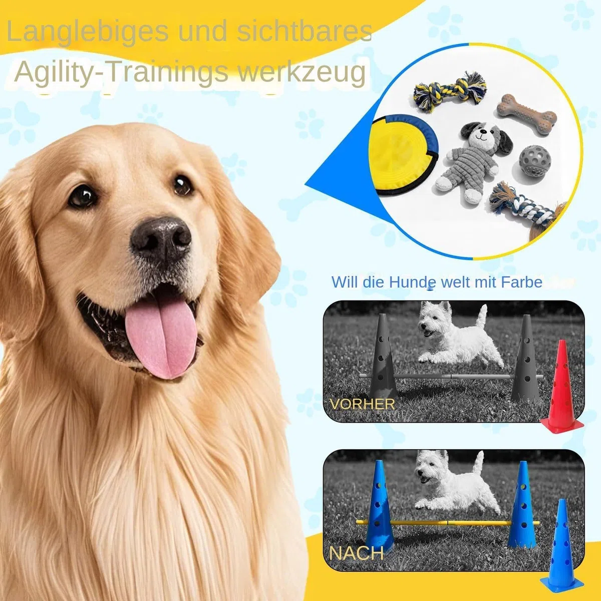 Generisch Hunde-Agility-Ausrüstung Robust und tragbar | Hürden--Set für Agility-Training für Übung, Wettkampf, Spiel, kleine, mittlere, große Hunde, Welpen, Indoor und