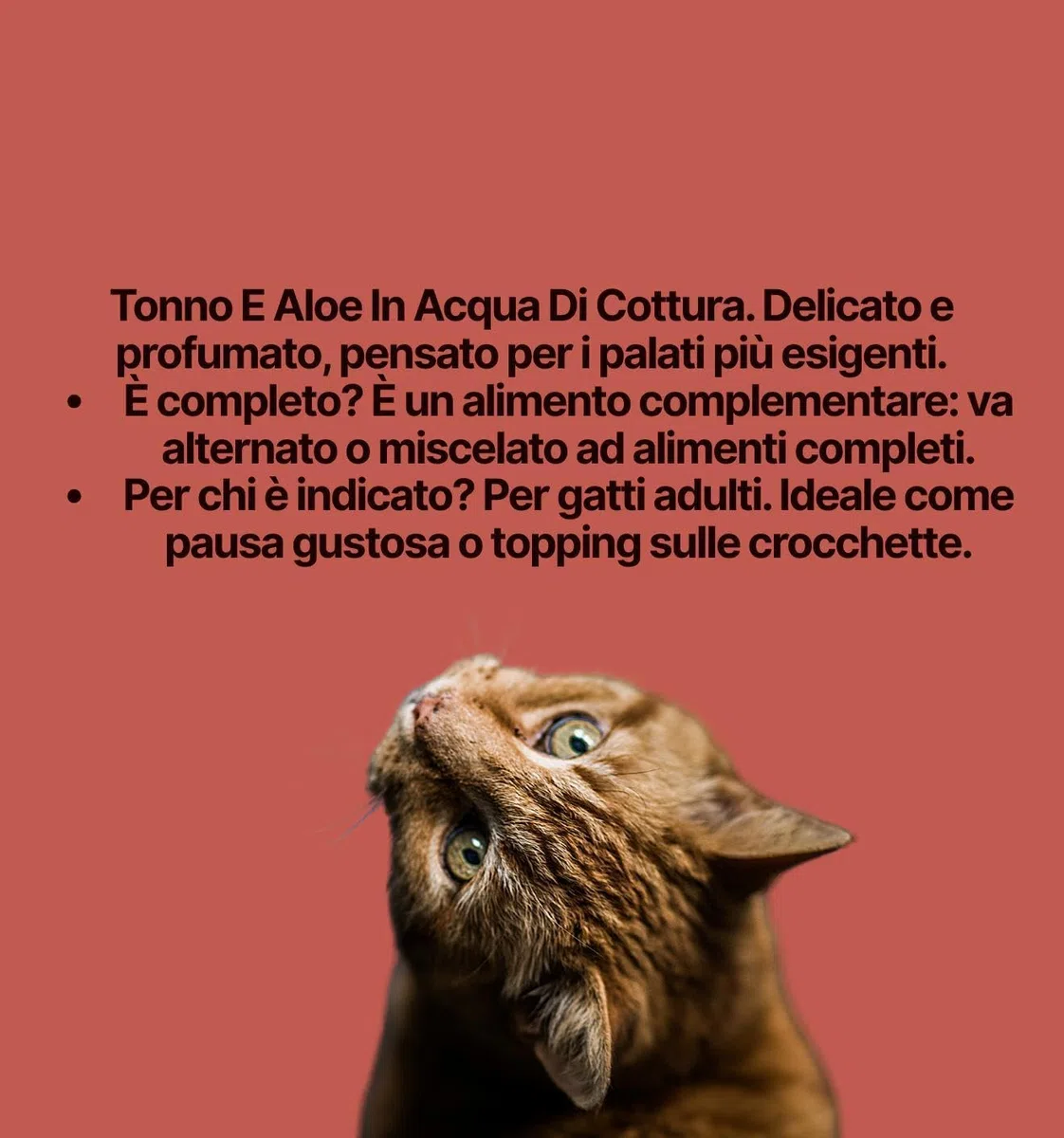 Lev Feuchtfutter für Katzen Adult Thunfisch und Aloe, Ergänzungsfuttermittel für ausgewachsene Katzen aller Größen und Rassen, Geschmack Thunfisch und Aloe | 12 Dosen mit je 140 g