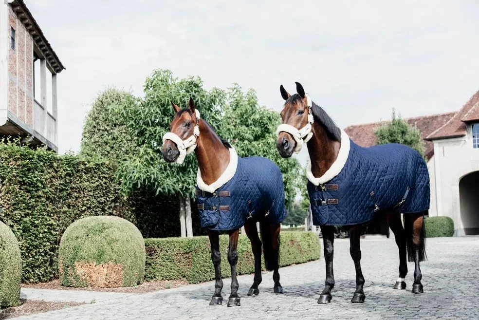 Kentucky - Showdecke für Pferd - Navy - 155/205