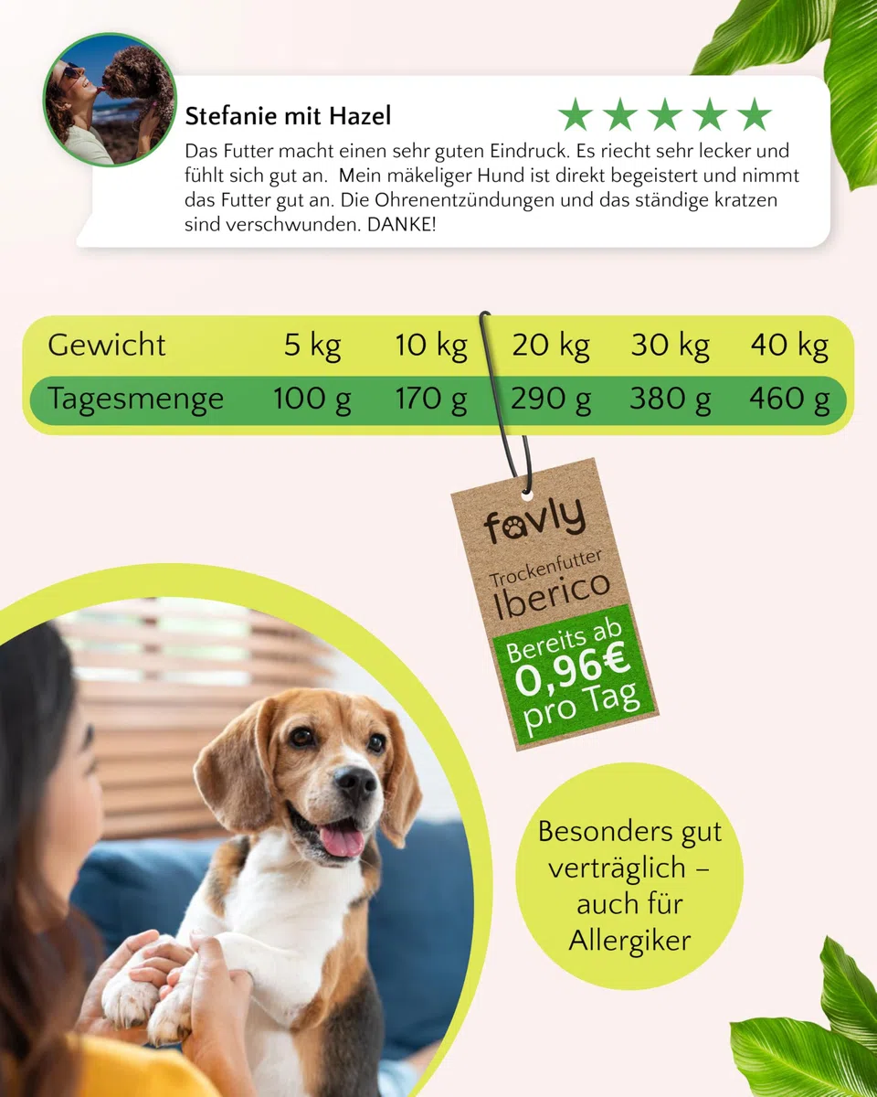 FAVLY – Freiland-Iberico Trockenfutter für Hunde 12kg – kaltgepresst & glutenfrei – mit Kürbis, Hanföl & Apfel – Monoprotein für Allergiker & Sensible Hunde – hoher Fleischanteil & ohne Zusätze