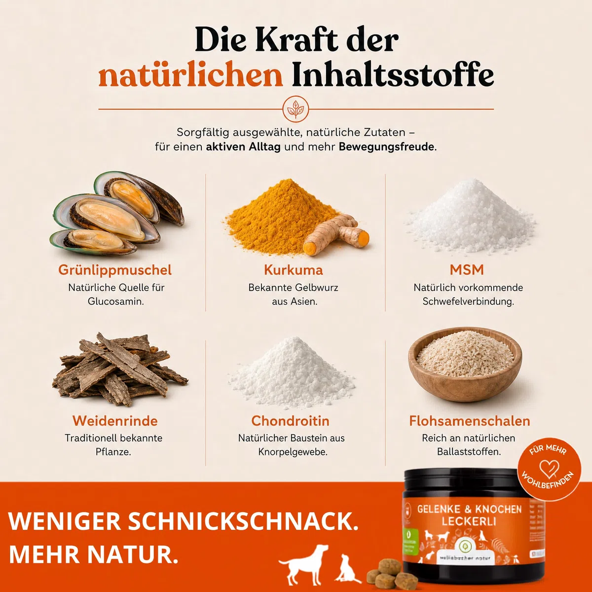 Gelenktabletten für Hunde als Snack | Gelenke & Knochen Leckerli 2 x | Mit Grünlippmuschel & MSM | Gelenkschutz, Knorpelpflege & Knochenaufbau | Unterstütz Gelenke und Knochen