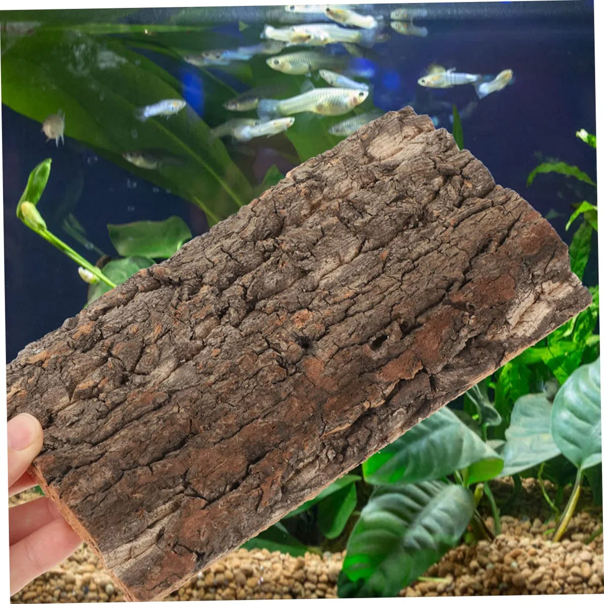 INOOMP 10stücke Reptilien-Terrarium Hintergrund Aus Natürlicher Baumrinde Langlebige Dekoration Für Aquarien Und Terrarien Geeignet Für Schildkröten Schlangen Und Andere Haustiere