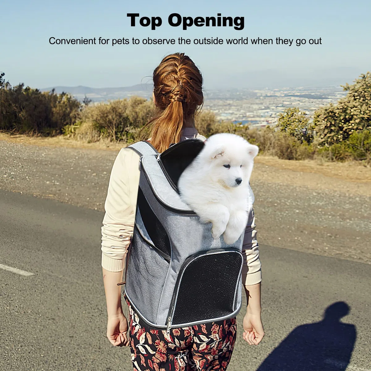 Galatée Katzen-Rucksackträger, Einstellbarer Hundebacker Mit Superlüftungstemontigem Design, Tragbare Hunde Transportieren Rucksack Für Reisen, Wandern Und Radfahren, Außengebrauch(XL, Grau)