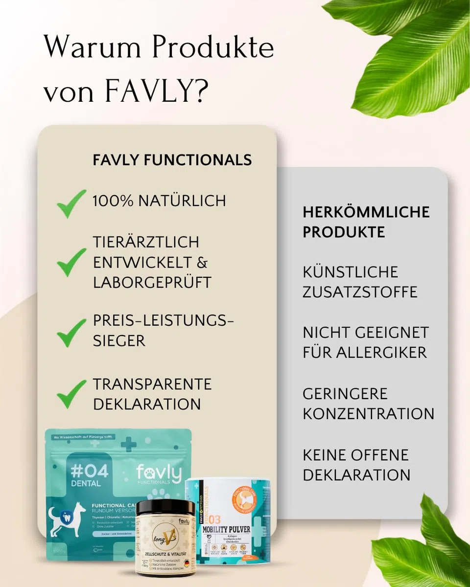 LongV+ – Zellschutz & Vitalität für Hunde – tierärztlich entwickelt – Grünlippmuschel, MSM, Vitalpilze & Antioxidantien – Getreide- & glutenfreies Pulver – 6er Set (6 x 100 g)