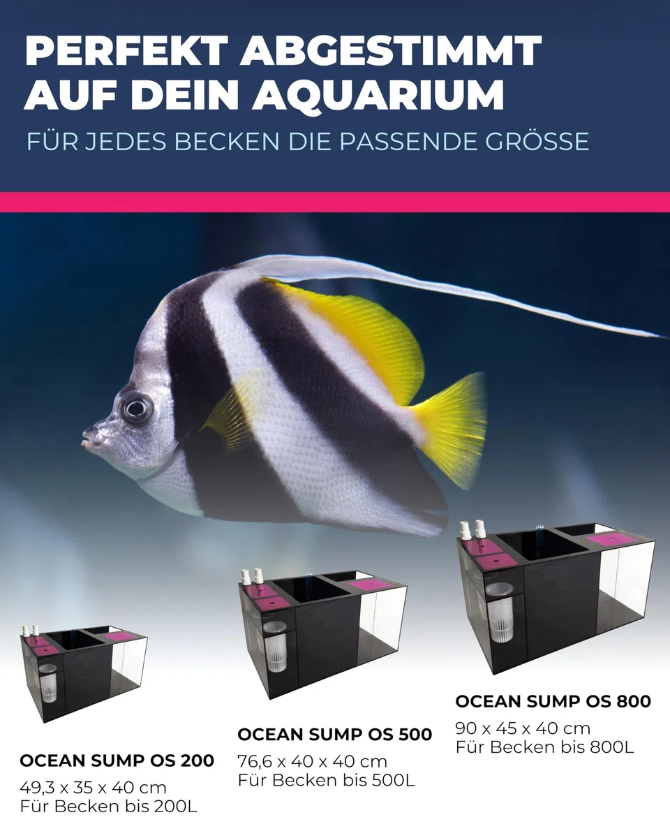 Dupla Marin Ocean Sump OS 500 I 5 Kammer Filtersystem für Aquarien bis 500 Liter I 76,6 x 40 x 40 cm I Aquariumfilter für effiziente Wasserfiltration I Filteranlage für Süß- und Meerwasseraquarien