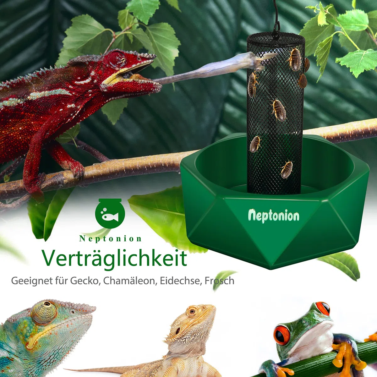 hakbare Chamäleon-Futterschale Käfer Bar mit Säule für Beute zu Klettern und zu bewegen, geeignet für Eidechse, Bartagame, Leguan, Gecko, Kröte, Frosch
