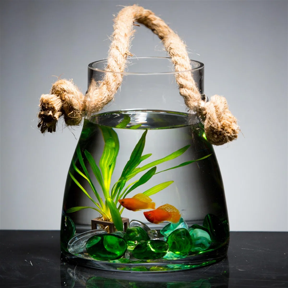 Aquarien Hängendes Aquarium for drinnen und draußen, Wohnzimmer, kleines Wand-Goldfisch-Aquarium, Glasaquarium, ökologisch, dekorativ, kreative Fischtanks Wohndeko