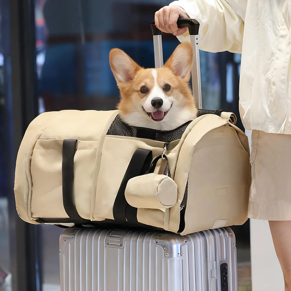 Faltbare Hundetrage Rucksäcke, umwandelbar, hohe Kapazität, reißfestes Polyester für Wanderungen, Campingausflüge, multifunktionale Hunde Reiserucksäcke