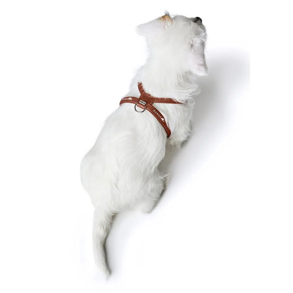 Hunter Hundegeschirr Round & Soft Canadian UP, Farbe: Cognac, weiches, geschmeidiges Leder, rundgenäht, fellschonend, nachhaltig, Made in Germany, Größe: S/1