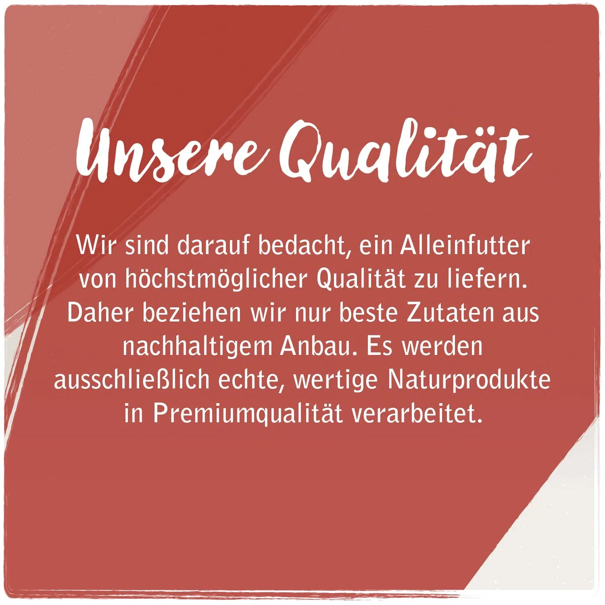 Venandi Animal – Premium Katzenfutter – Huhn, mit viel frischem Geflügel, Trockenfutter, getreidefrei 1er Pack (1 x 1,5kg)