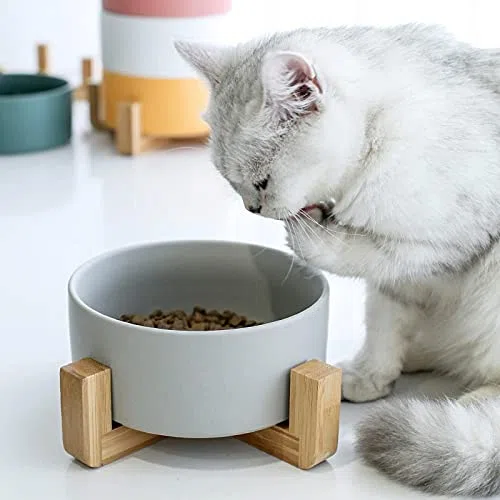 Hundenapf Keramische Hund Fütterungsschale Pet Feeder Waren for Katzen Welpen Lebensmittel Wasser Container Aufbewahrung Wasserer Zubehör Futternapf Katze