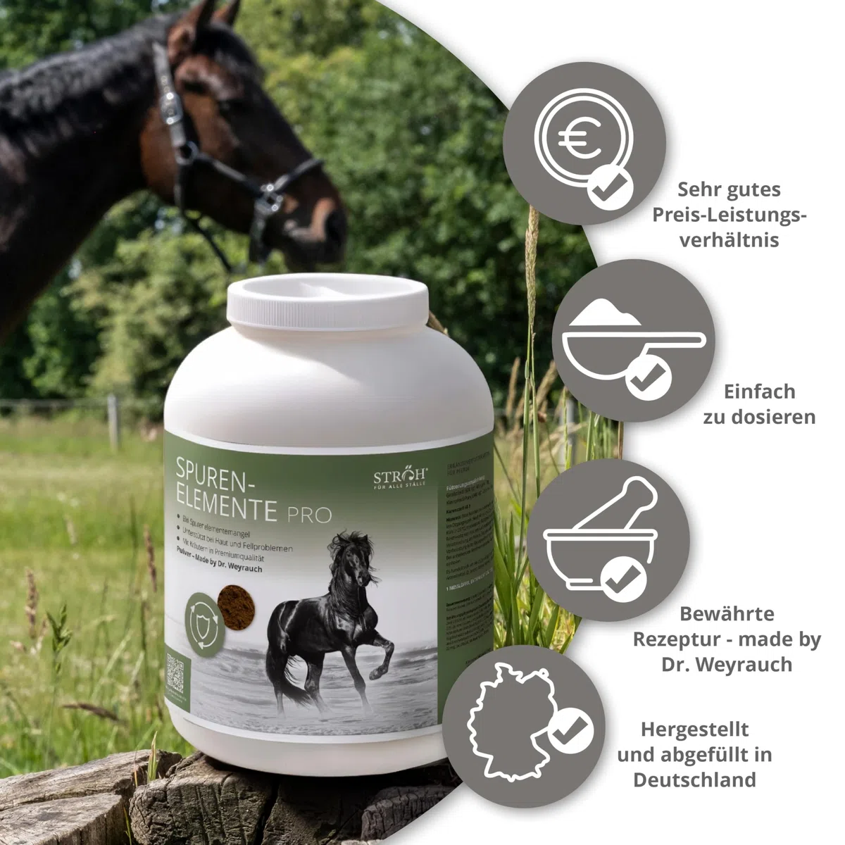 STRÖH Spurenelemente Pro Pulver für Pferde - Ergänzungsfutter Pferd - 4kg | Zink, Mangan, Eisen, Kupfer, Selen, Jod, Cobalt - Kräuter - Ohne Zusätze - Premium Mineralfutter - Fell, Haut & Immunsytem