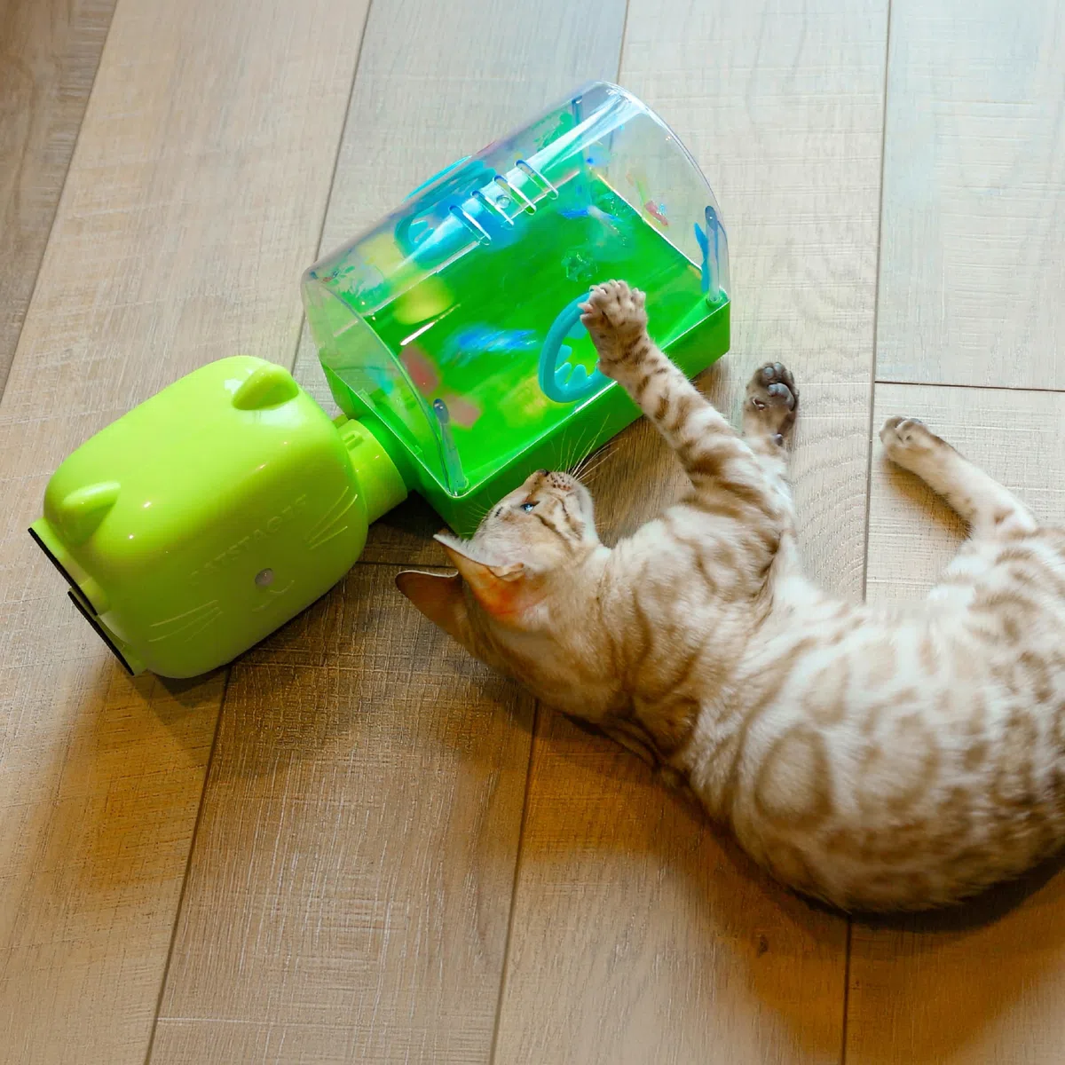 Catstages 2-in-1 Air Blaster Spielset Katzenspielzeug, 2 austauschbare Spielzeuge, Terrarium & Tanzender Kaktus, 1 batteriebetriebener Ventilator
