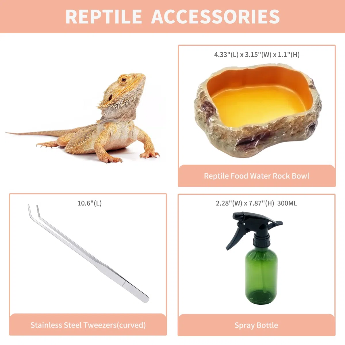 Reptile Growth Reptilien-PC-Terrarien-Set, Reptilienbecken 50 x 25x 20 cm, für Insekt, Fisch, Tarantel, Einsiedlerkrebs, Springspinne, Leguan, Schildkröte, Leopardgecko, Frosch, Bartagame