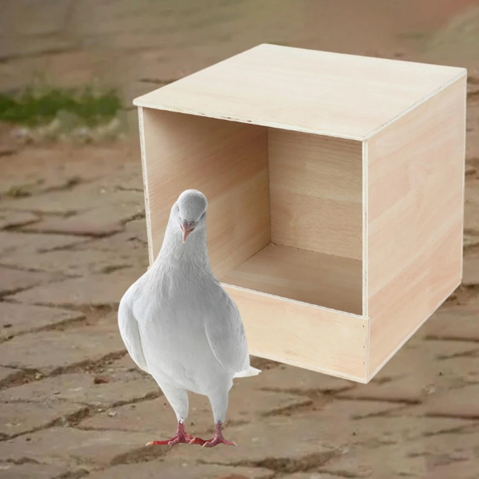 Nistkasten für Papageien, Brutvogelunterkunft Und Futterbehälter für Wellensittiche, Papageien, Nymphensittiche Und Kanarienvögel, Geeignet Zur Zucht, Groß