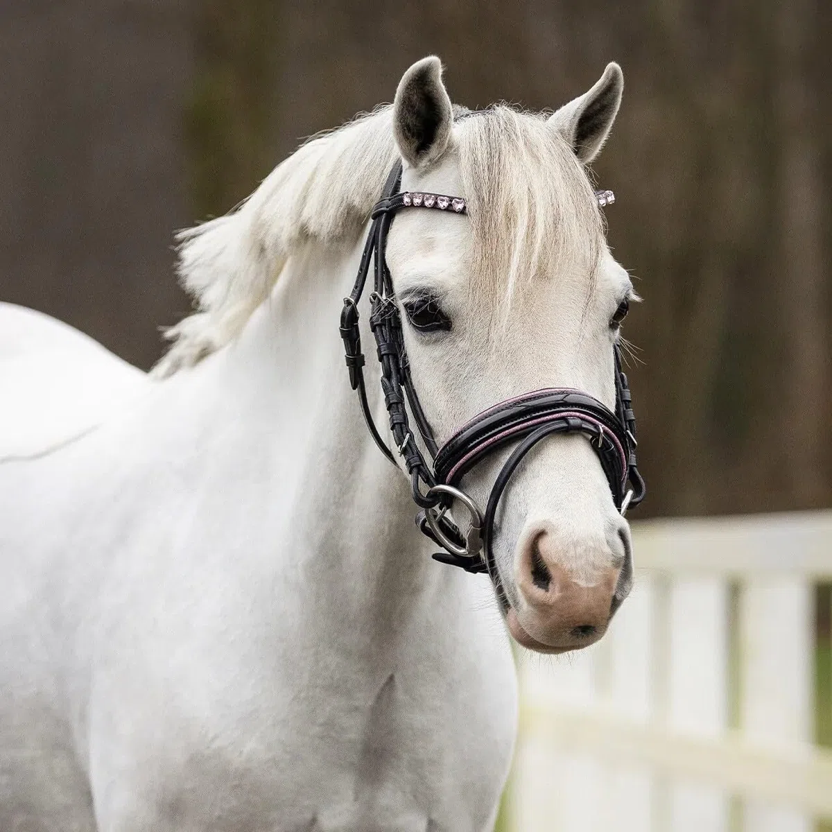 NETPROSHOP Leder Trense Bixie mit Herz-Straßsteinchen weich gepolstert Shetty und Mini Shetty, Groesse:Shetty, Farbe:Rosa