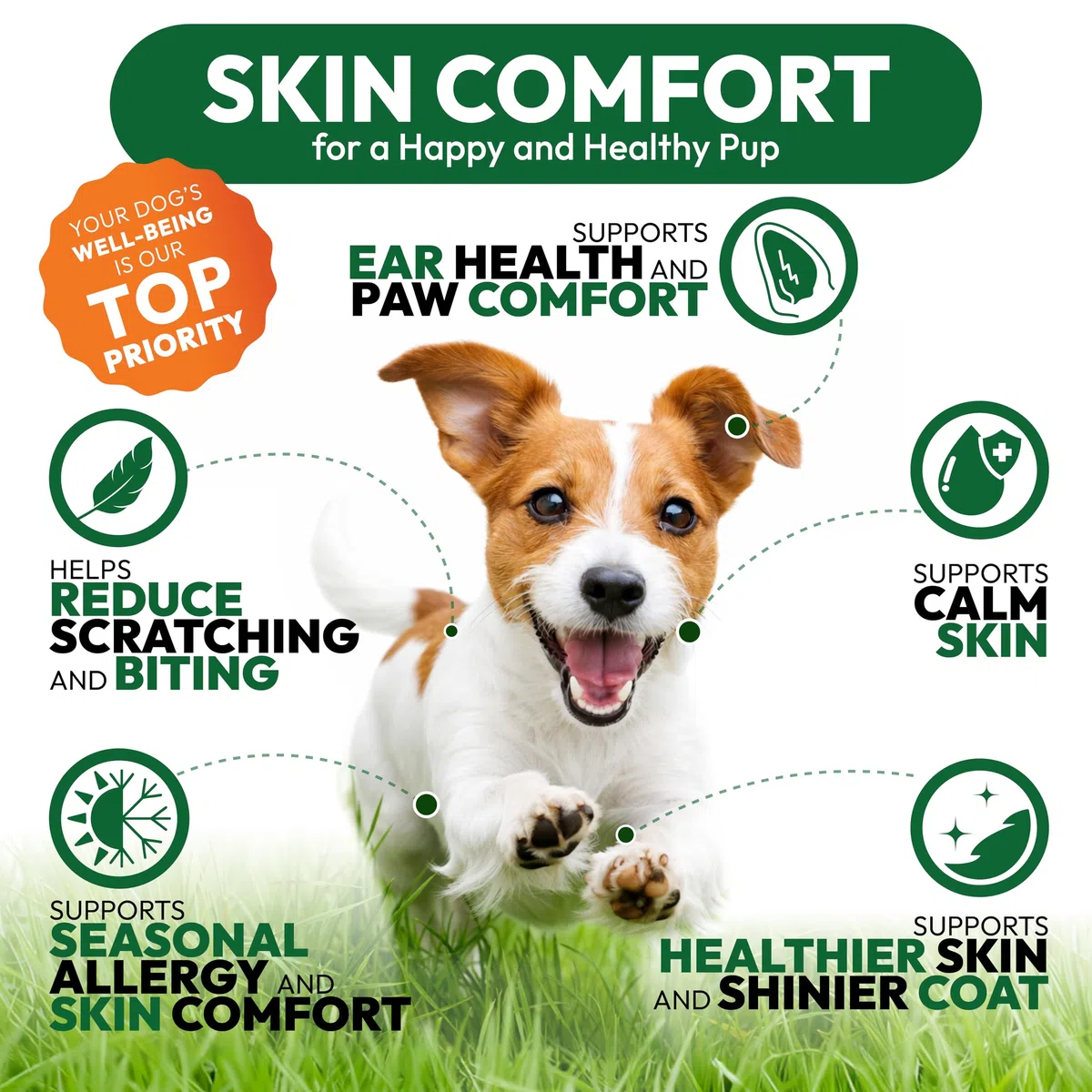 Hundeallergie Kauspielzeug - Made in USA