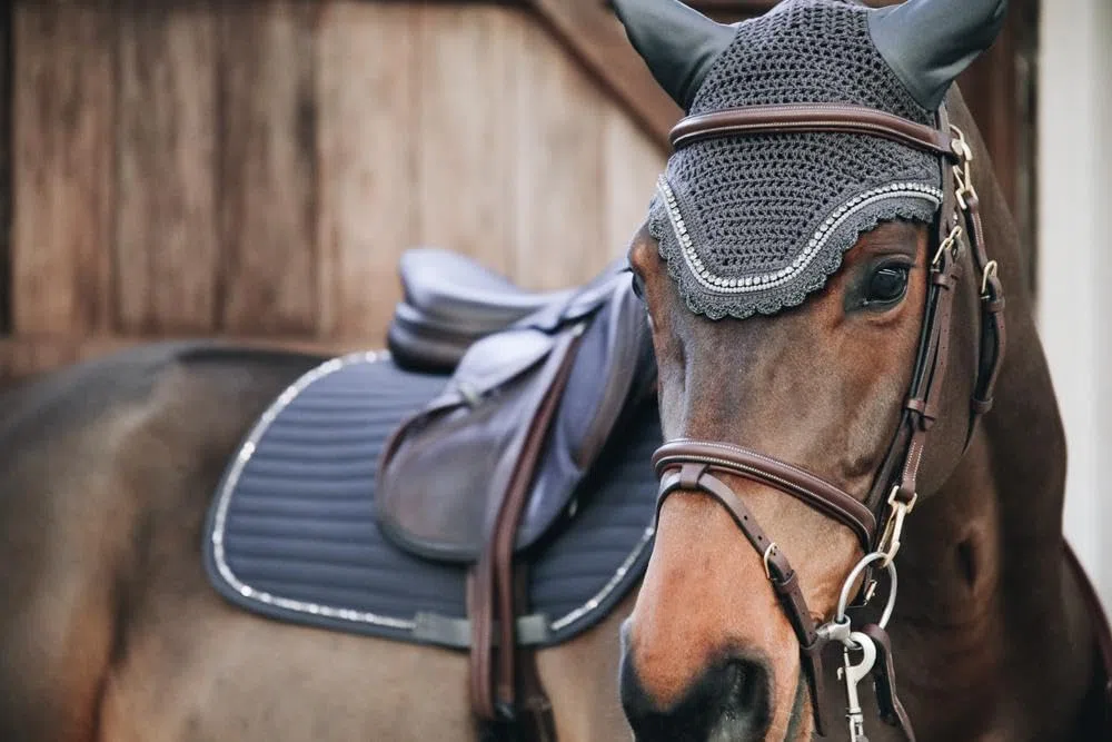 Kentucky Horsewear - Wellington Fliegenmütze - Stone & Pearl - Dunkelgrau - Full