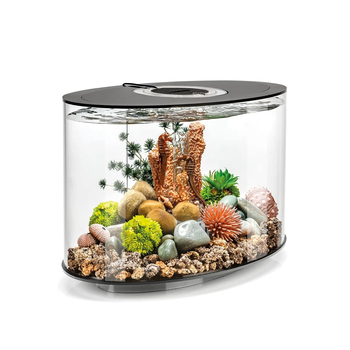 biOrb LOOP 15 LED Aquarium, 15 Liter - Acryl-Aquarium, Komplettset inklusive Lichteinheit und patentiertem Filtersystem, 360 Grad-Modell