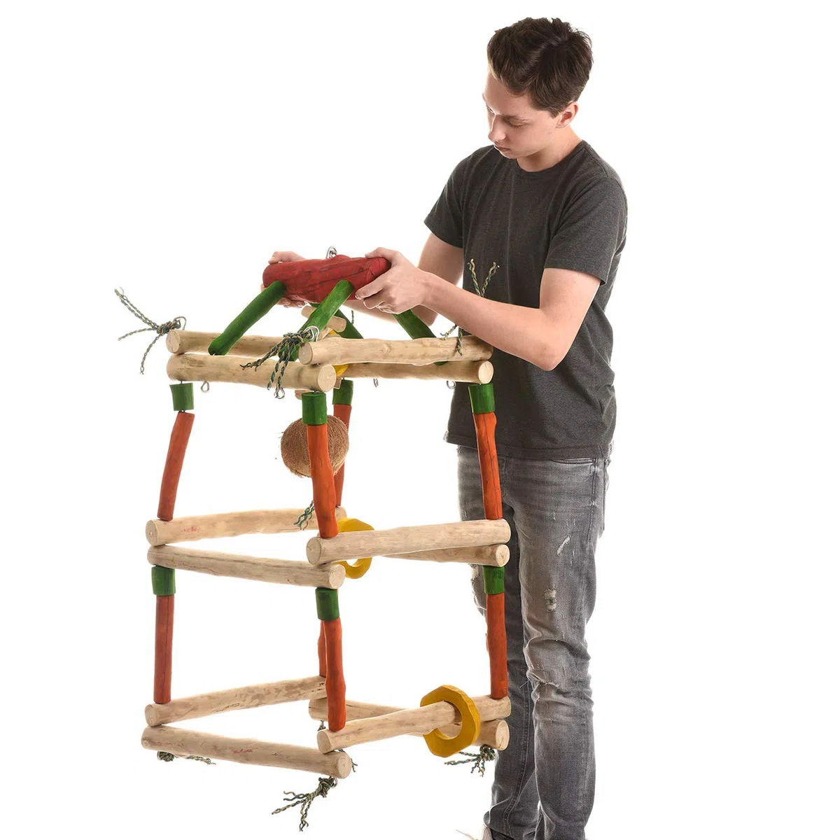 Java | Papageienspielzeug Gym-Tower XL - als Hängefreisitz für Papageienaus hartem Kaffeeholz