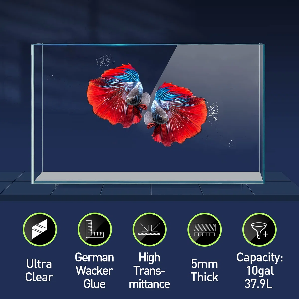 LAQUAL Aquarium, 30,5 l, ultraklares Glas, randlos, eisenarm, für Betta/Nano/Goldfisch/Schnecke/Garnelen, großes Aquarium, Abdeckungs-Set, Futterring und Reinigungswerkzeuge