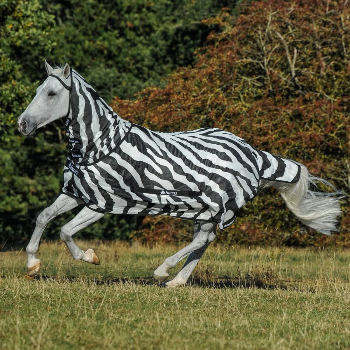 Bucas Buzz-Off Fliegendecke Zebra Full-Neck, 145