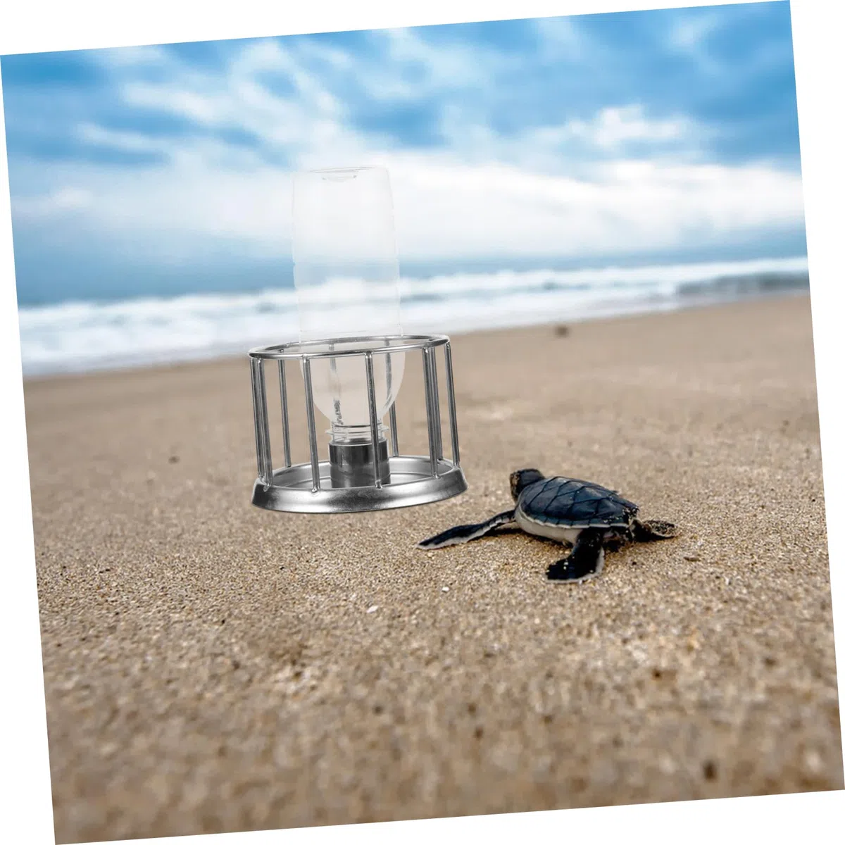 Kisangel 5stücke Turtle Pet Feeding Dish Edelstahl Tortoise Wasserbehälter Für Reptilien Spritzschutz Für Sauberes Wasser Praktischer Trinkbehälter Für Schildkröten Und Reptilien