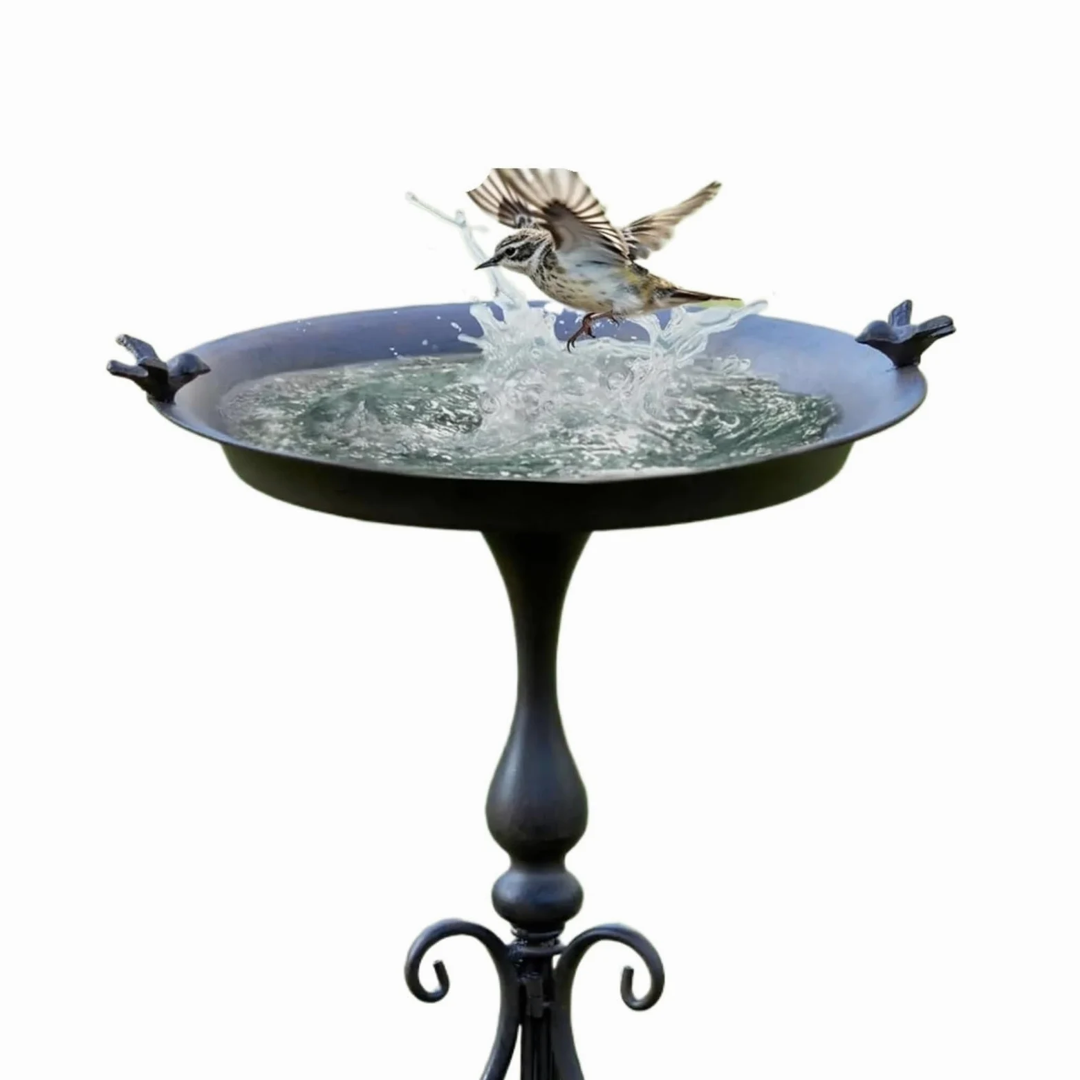 Vogeltränke Stehend Durchmesser 18" B x 28" H Vogeltränke mit Ständer | Vogeltränken for den Außenbereich, Vogeltränken/Futterhäuschen aus Metall