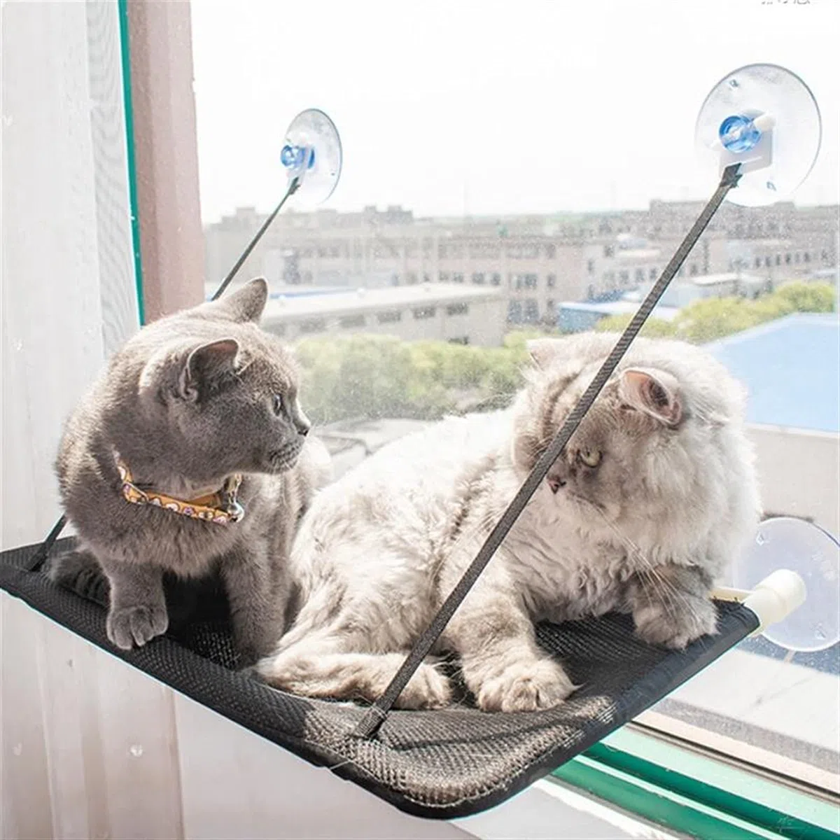 Haustierbett Katzenfenster-Hängematte, Katzenfenster-Barsch, Katzenfensterbett hält bis zu 55 lbs Katzenhängematte