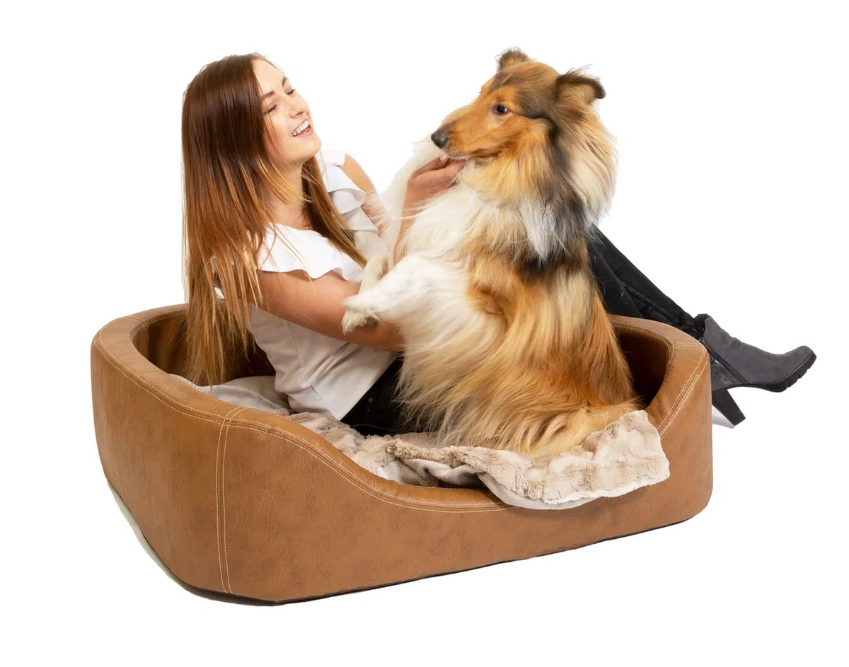Orthopädisches Hundebett mittelgroße Hunde - Hundekissen Oval - Hundekorb Waschbar grosse Hunde - Körbchen Hund mit erhöhte Ränder - Abnehmbarer, waschbarer Bezug 100 x 80cm in Hellbraun, Dog Bed XXL