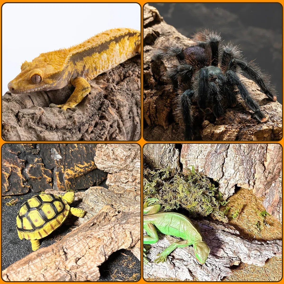 BNOSDM Reptilien-Terrariumrinde Substrat Bettwäsche Schildkröte Naturkork Rinde Reptilien Klettermatte Lebensraum Dekor für Eidechse Schlange Spinnen Einsiedler Krabben Tarantel Geckos Bartagamen (0,3