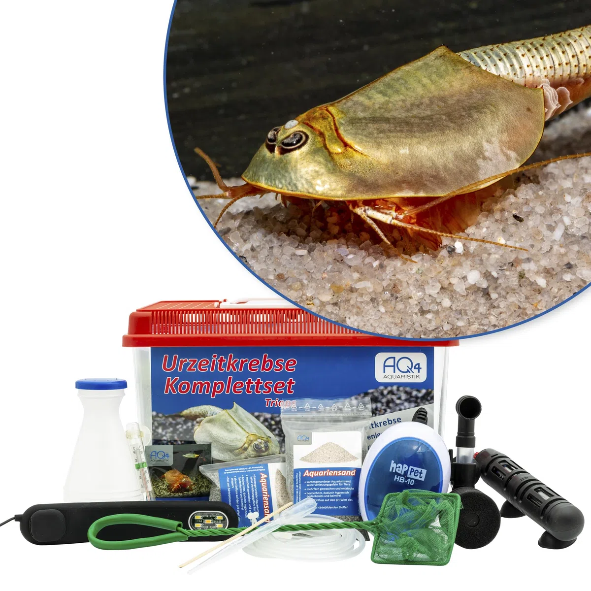 Triops longicaudatus Premium Komplett-Set 6 l mit ca. 200 Urzeitkrebs Eiern, Becken, LED-Beleuchtung, Heizung, Filter, Luftpumpe, Kescher, Futter, Zubehör, Anleitung