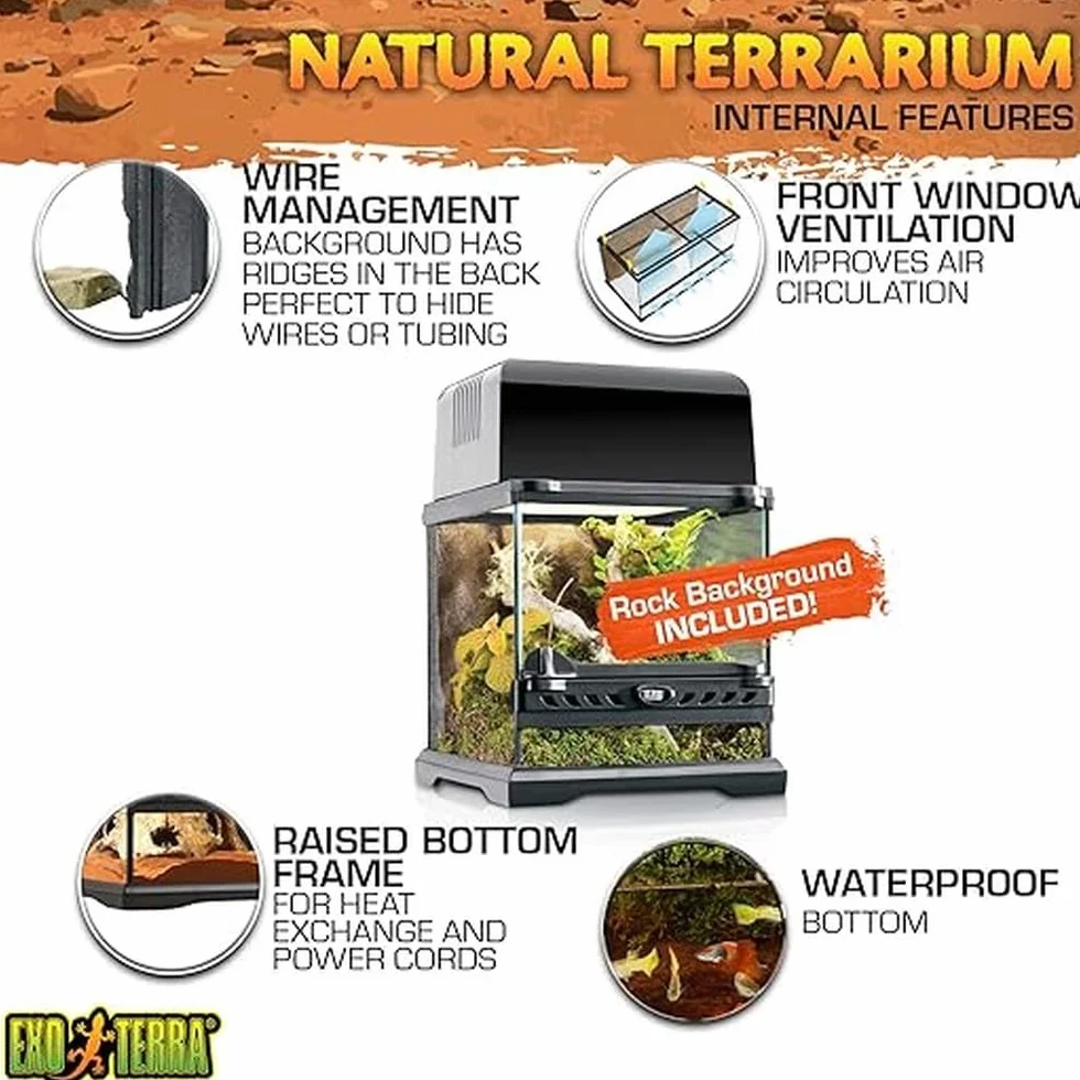Exo Terra Natural Terrarium Nano Wide, Glasterrarium mit Steinmotivrückwand & Dual-Türsystem, ideal für Wirbellose & kleine Amphibien, 20 x 20 x 20 cm