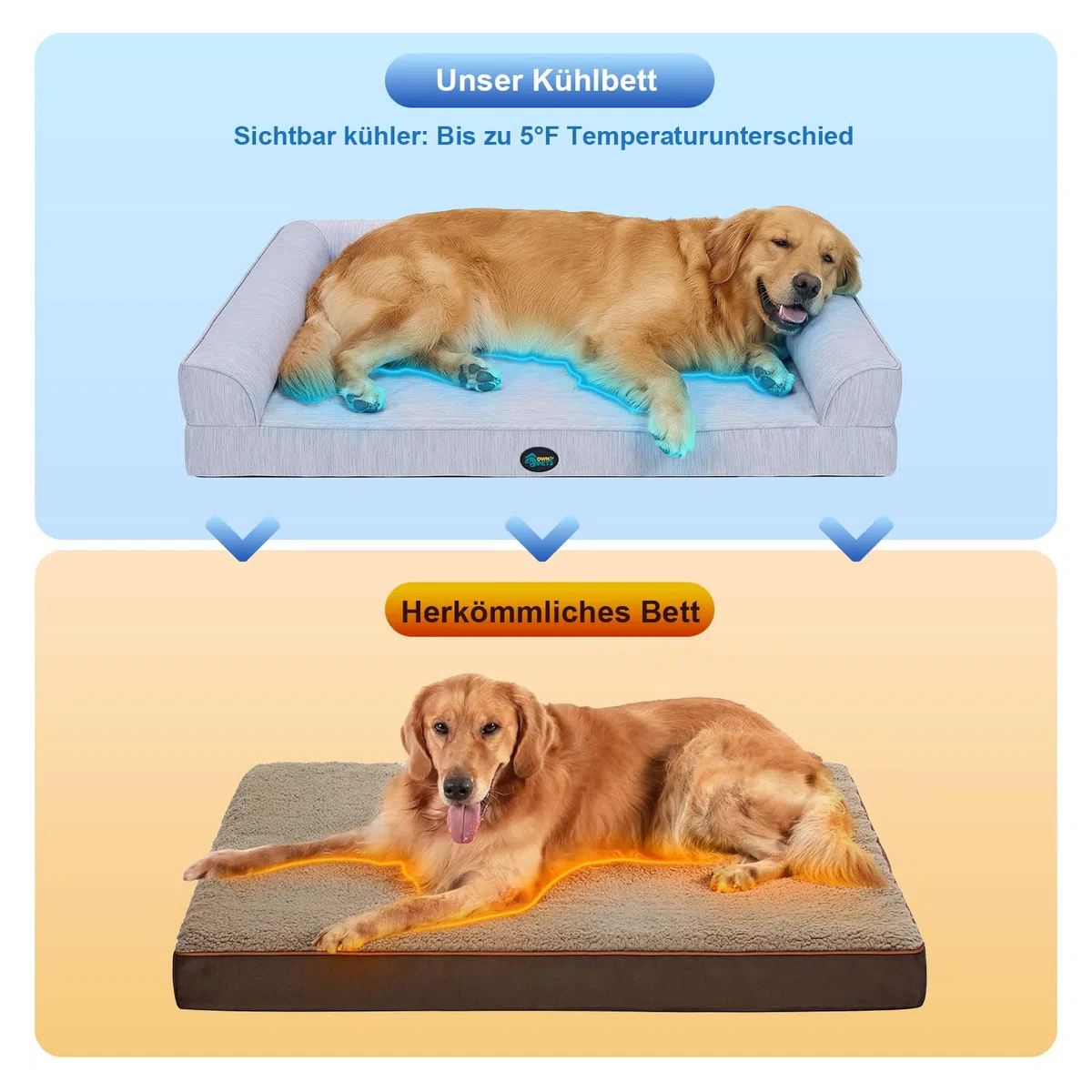 Ownpets Kühlendes Hundebett für Mittelgroße Hunde, Q-MAX>0.4 Orthopädisches Hundekorb mit Seiten, Hundesofa mit abnehmbarem Bezug & wasserdichter Innenlage,rutschfest (XL (121 x 81 x 19 cm))