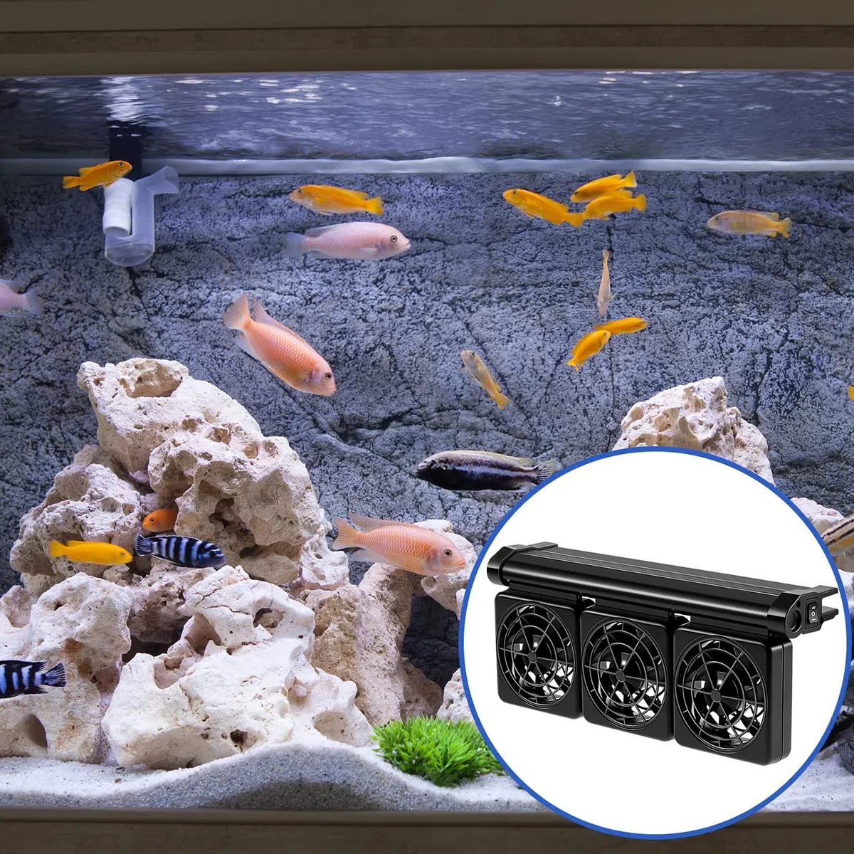 Aquarium-Kühler – Leistungsstarkes 2-Gang-Fischtank-Kühlsystem für Salzwasser und Süßwasser – schwarzer Kühler für effiziente Temperaturkontrolle