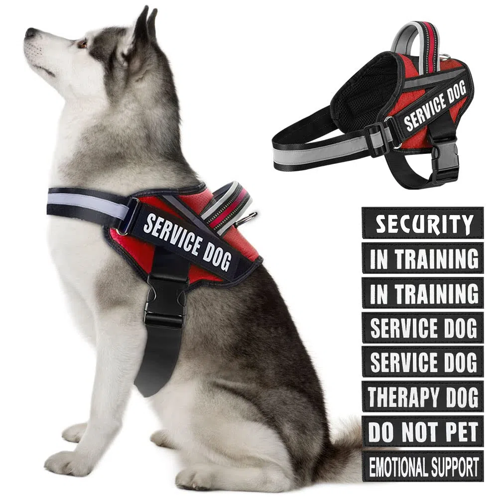 Hundegeschirr und Patches Set, Animire im Trainingsservice Hundegeschirr mit 10 Hundeflicken, Reflektierende Hundeweste mit Griff für kleine, mittelgroße und extra große Hunde